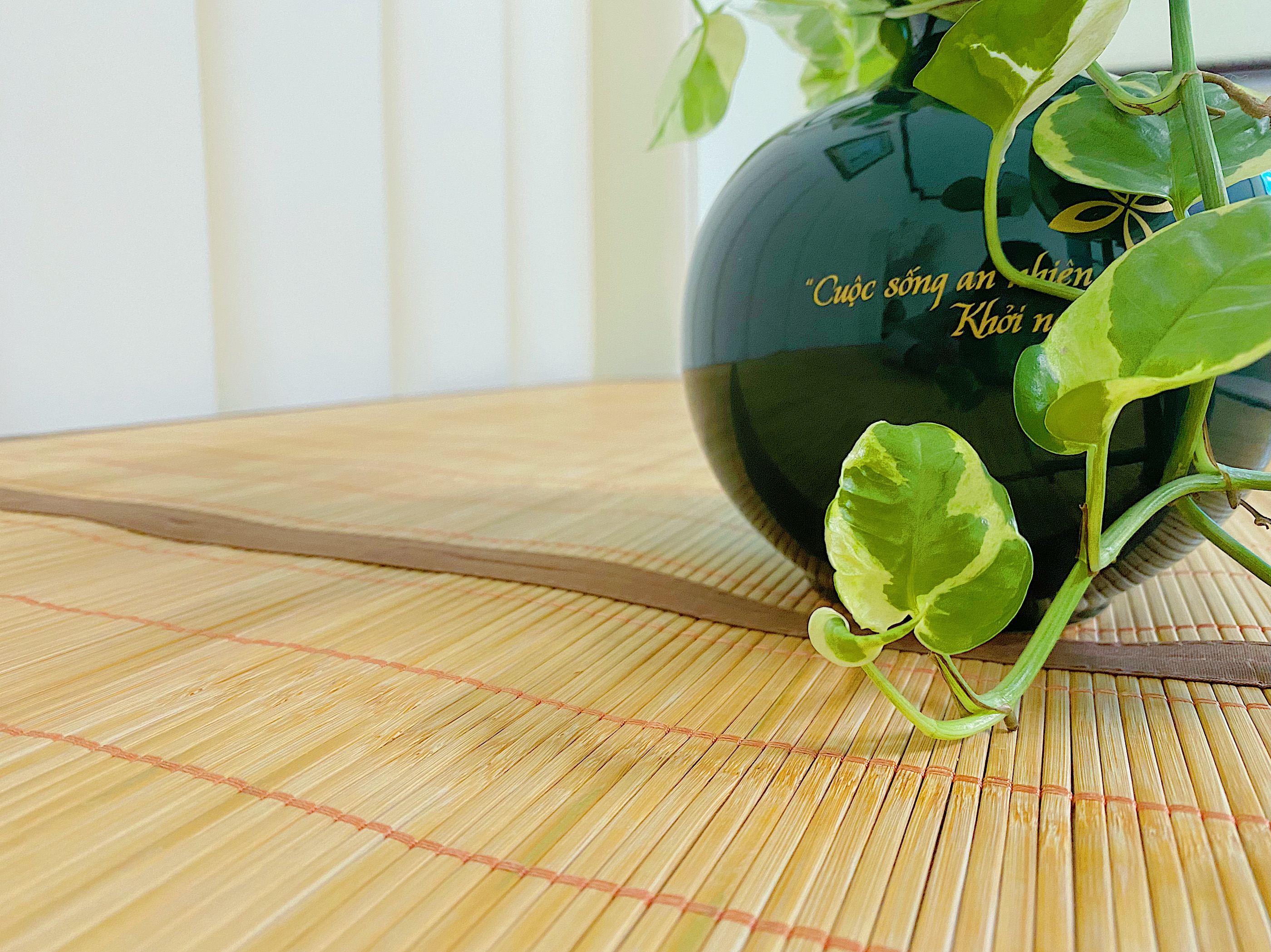 Chiếu tăm H&T 2 x 2,2m(gập đôi ) - Hàng chính hãng H&T - Sản xuất 100% tại Việt Nam