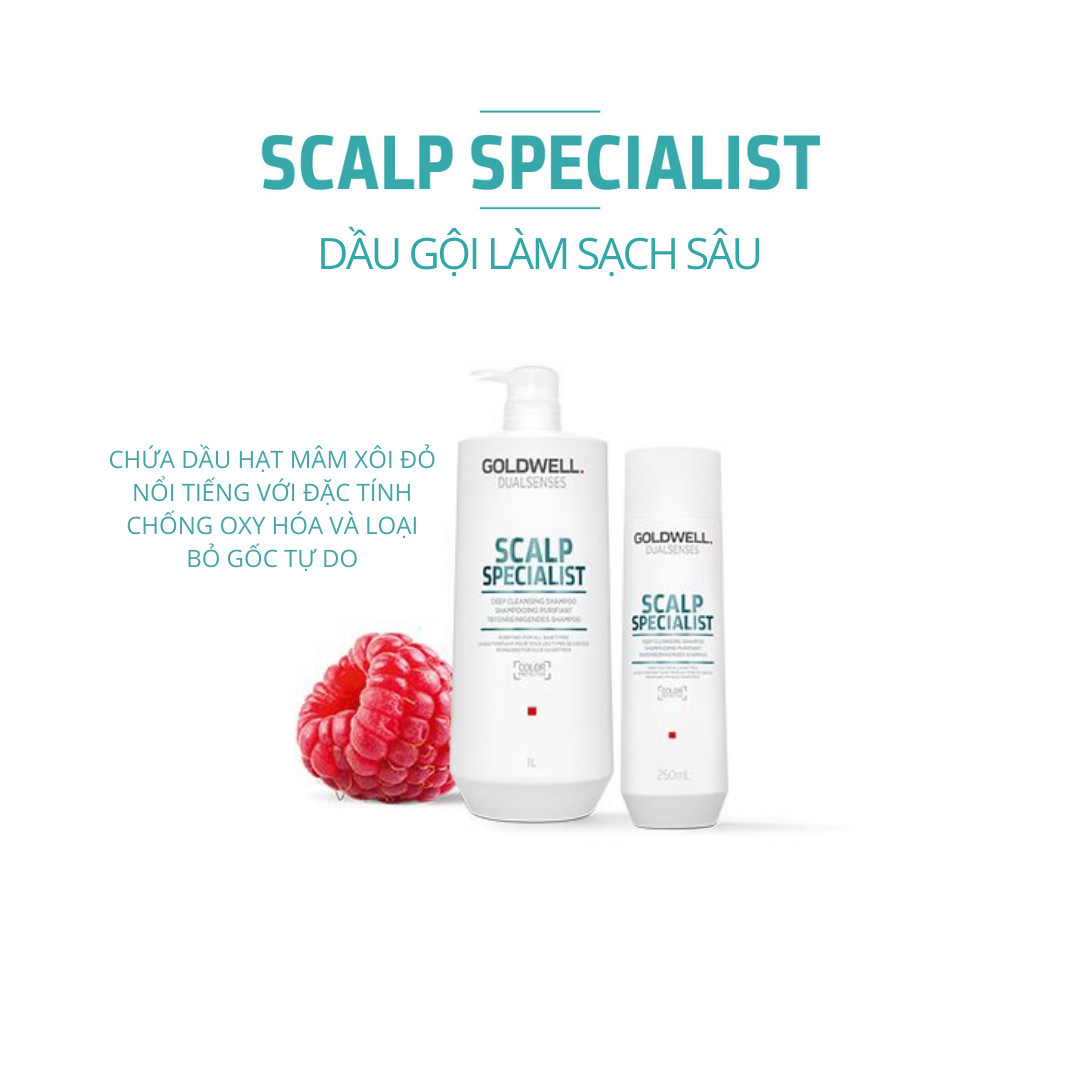 Dầu Gội Kiềm Dầu Goldwell Scalp Specialist Cấp Ẩm Và Làm Sạch Sâu, Kiểm Soát Dầu Thừa Hiệu Quả 250ml