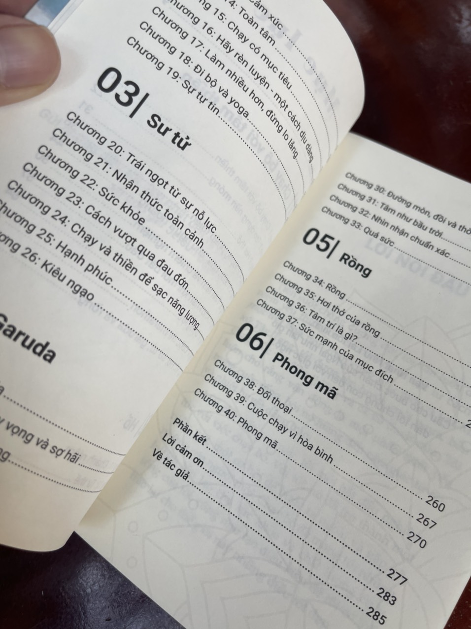 THIỀN TRONG CHUYỂN ĐỘNG - Sakyong Mipham- Lâm Đức Duy dịch – 1980 Books – Thanh Niên