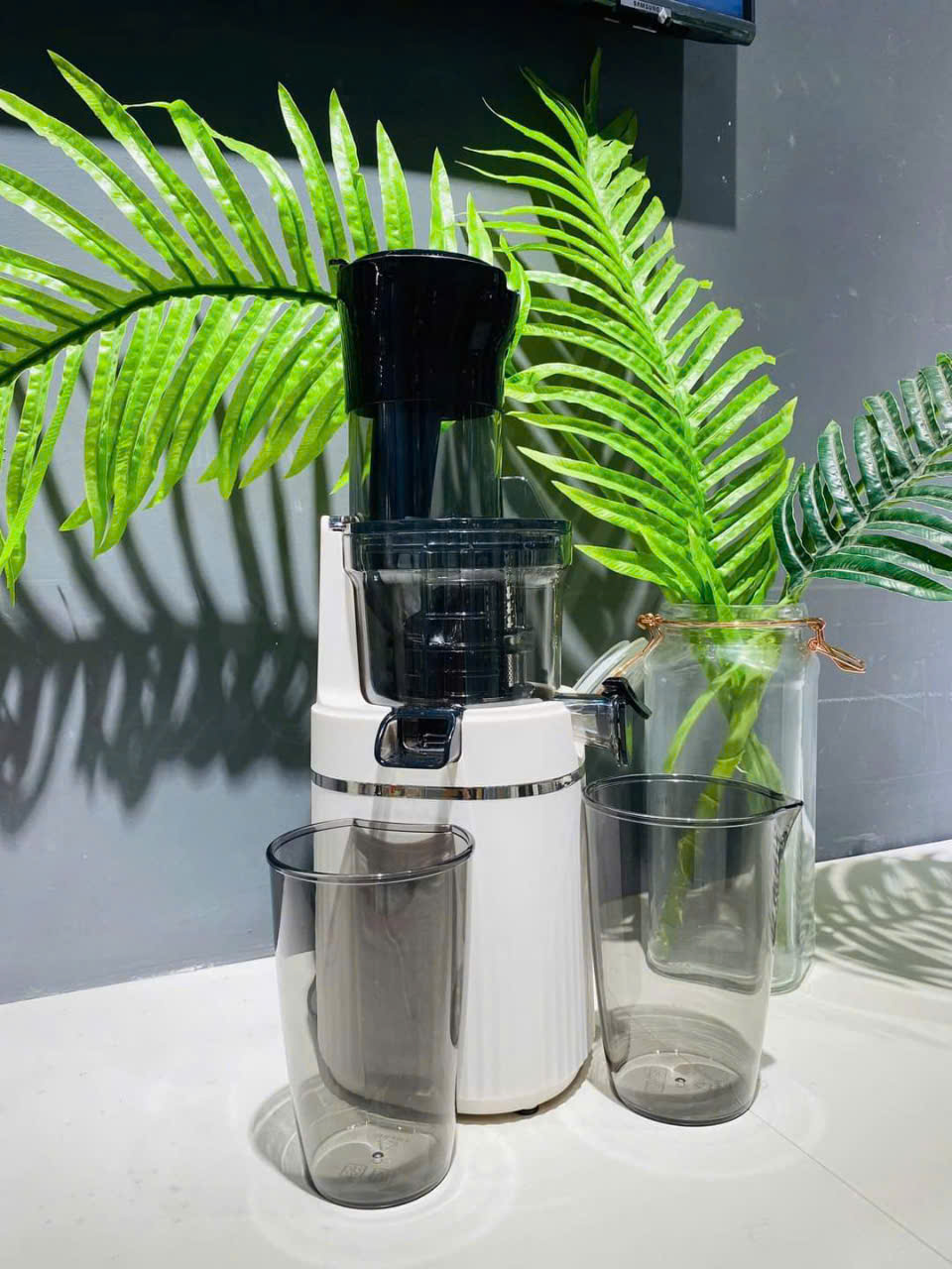 Máy ép chậm Locknlock EJJ421IVY Slow juicer - Dung tích 0.8L, 200W, 220-240V, 50Hz - Hàng chính hãng