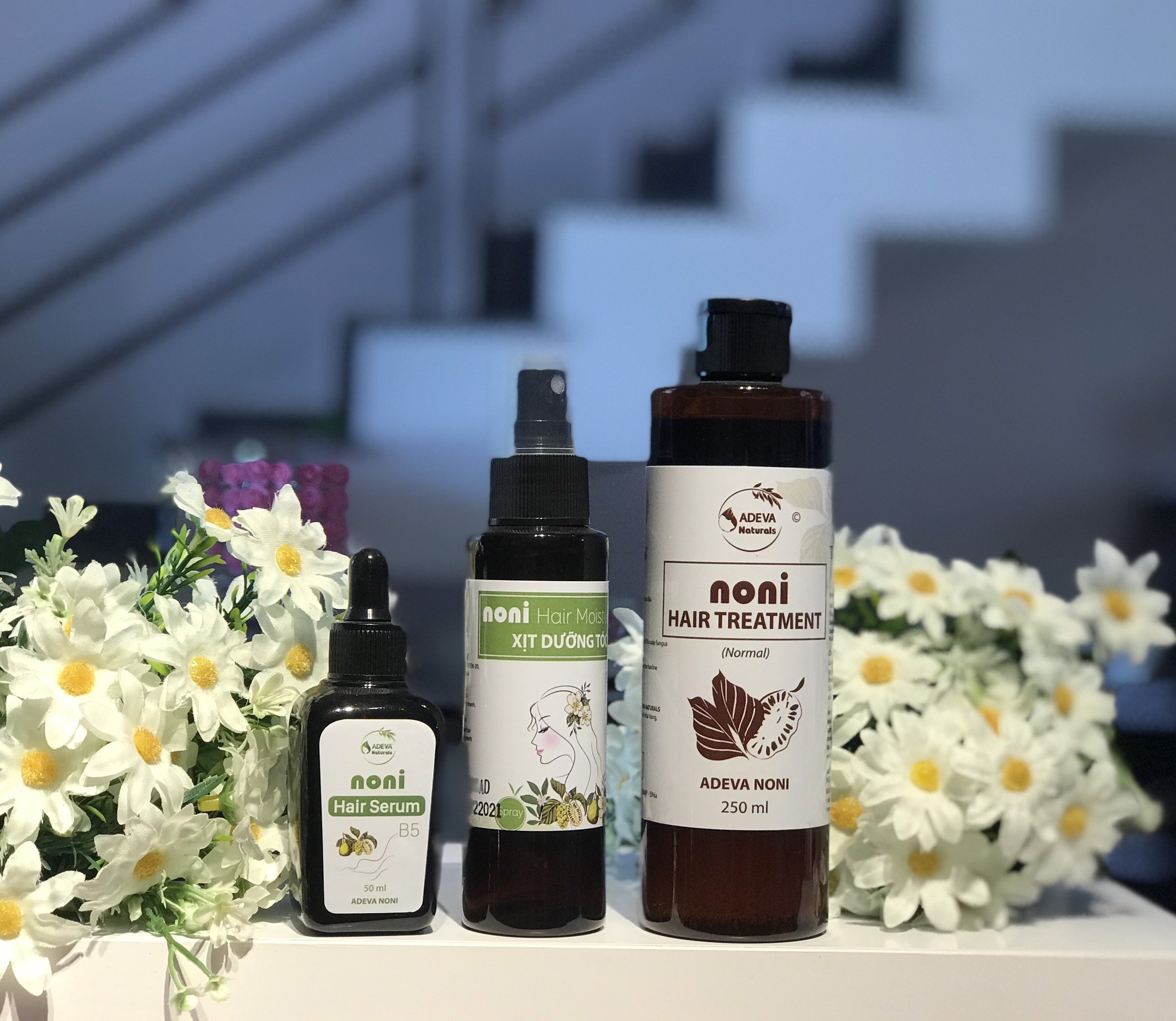 Dầu gội chống gàu ngừa rụng tóc Adeva Noni - 100% từ thảo dược thiên nhiên, không cần dầu xả. Mùi thơm tự nhiên, phục hồi tóc hư tổn, giúp tóc bóng mượt tự nhiên