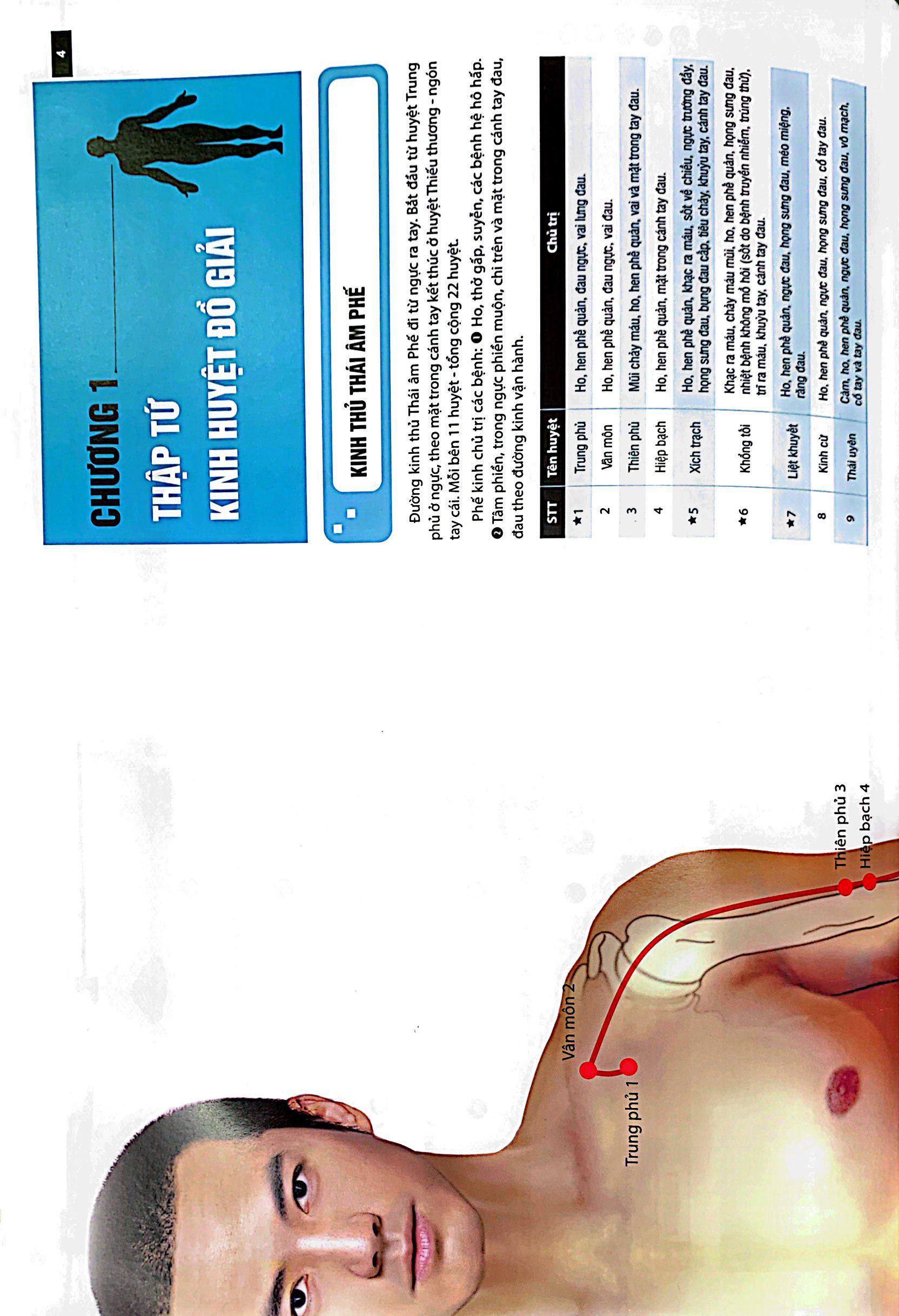 Sách Đồ giải Kinh Lạc Huyệt Vị Nam giới