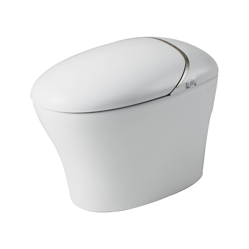 Bồn cầu thông minh cao cấp Bravat C21185W-3CM-VP
