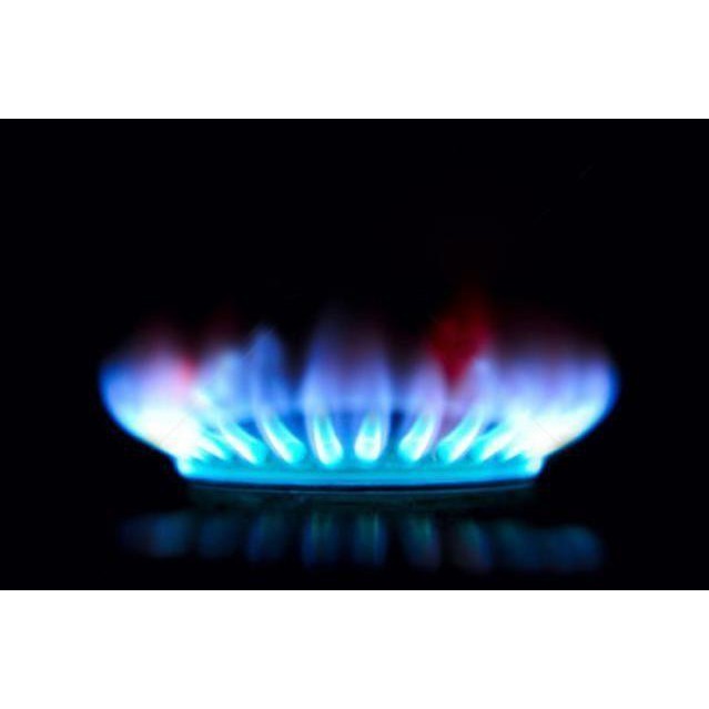 Bếp Gas Đôi Mặt Kính Sen Đồng WINDO 719GL Cao cấp - Hàng Chính Hãng