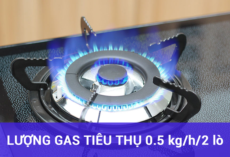 Bếp Ga Âm Rinnai RVB-2BG(D)N - Đen- Hãng chính hãng