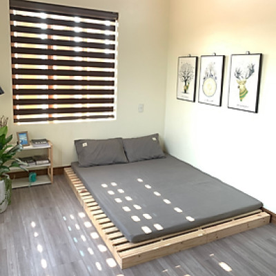 Giường ngủ gỗ CT09 Juno Sofa màu vàng nhạt 