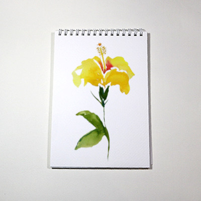 Sổ vẽ màu nước chuyên dụng A5 có vân, dòng cao cấp lên màu đẹp loang màu tự nhiên vẽ được cả chì, 15 tờ/cuốn chất giấy dày 300gsm nhập từ Ý không bị cong TIG373 Green Art - Hàng chính hãng