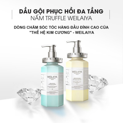 Combo Dầu gội xả phục hồi đa tầng nấm Truffle Weilaiya hương nước hoa và Dầu gội gừng hà thủ ô Weilaiya 400ml