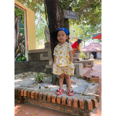 Rập giấy A0 bộ cổ danton bé mã B77 - bản vẽ