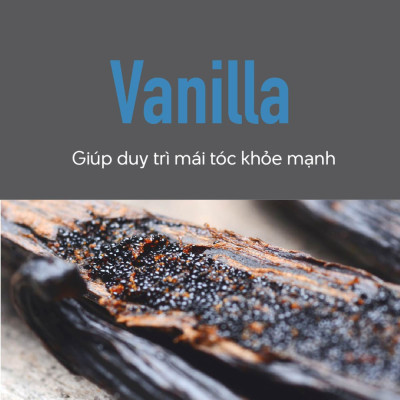 Dầu Gội Dưỡng Ẩm Goldwell KMS Moistrepair Nuôi Dưỡng Và Phục Hồi Tóc Hư Tổn Lên Tới 99%