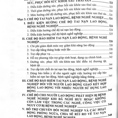 Bộ luật Lao động và Hệ thống thang bảng lương, phụ cấp, chế độ tiền lương, tiền thưởng đối với người hưởng lương làm việc