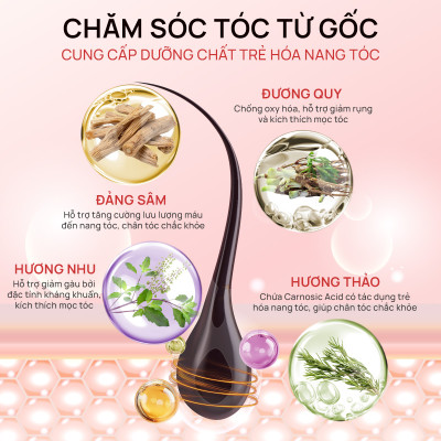 Combo 2 Dầu gội thảo dược Fresh Shampoo giảm rụng tóc, giảm gàu, nuôi dưỡng tóc mềm mượt và chắc khỏe từ gốc