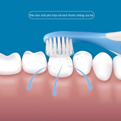 Bàn chải đánh răng cho bé từ 0 đến 3 tuổi, bàn chải siêu mảnh 3 trong 1 KUKU KU1138