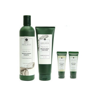 Dầu Gội Cặp Weilaiya Thảo Dược Mọc Tóc Hỗ Trợ Trị Gàu Dưỡng Tóc, Đen Tóc Cho Tóc Nhuộm Tinh Chất Gừng Cao Cấp Chiết Xuất 100% Từ Thiên Nhiên Không Chứa Sunfat Tạo Bọt (Gội: 400ml- Xả: 250ml)- Sản Phẩm Chính Hãng