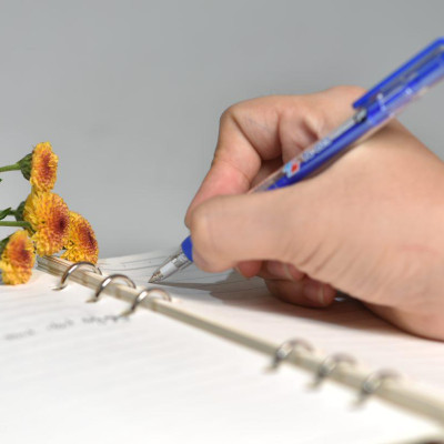 Hộp 20 Bút Bi Grip 0.8 mm Thiên Long TL-025 - Mực Xanh