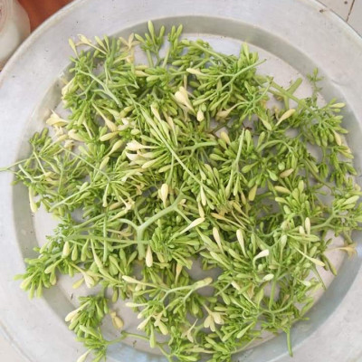 Bông đu đủ đực sấy lạnh xanh đẹp đặc sản Kon Tum