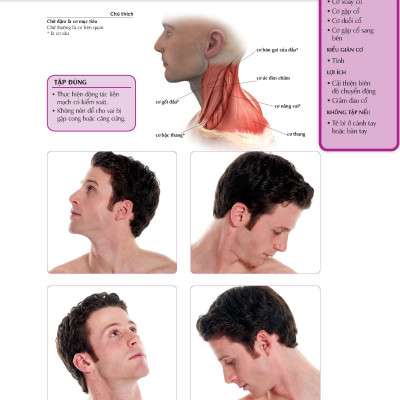 Giãn Cơ Bắp Thư Giãn Giảm Đau Nhức