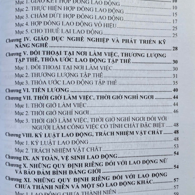 Bộ Luật Lao Động và Hệ Thống Thang Bảng Lương, Phụ Cấp, Chế Độ Tiền Thưởng Đối Với Người Hưởng Lương Làm Việc Trong Các Cơ Quan, Đơn Vị Và Doanh Nghiệp
