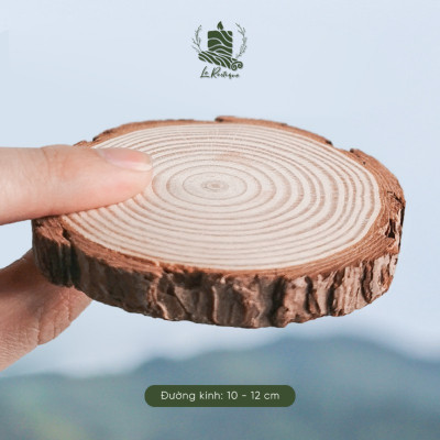 Lát Gỗ Thông 10-12cm Le Rustique - Decor Trang Trí - Lót Nến Thơm - Lót Cốc Nước - Phụ Kiện Chụp Ảnh