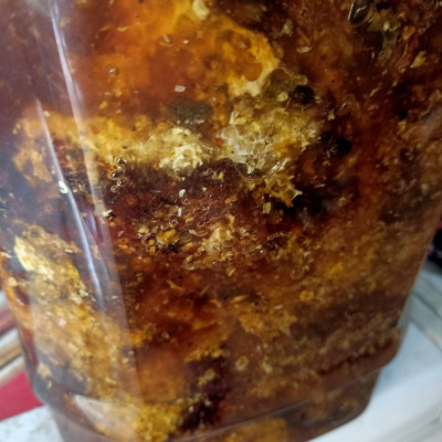 Mật ong rừng đặc sản Kon Tum nguyên chất (1lít))