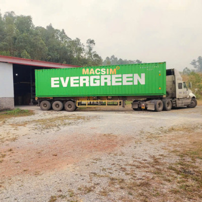 Thảm lót sàn 1 lớp sd3 Vinfast VF9 ( 6 chỗ)- nhãn hiệu Macsim - Giảm giá nhưng chất lượng không giảm