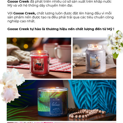 Nến ly 3 bấc Aromatherapy Goose Creek (411g) - Vanilla & Rose Petals