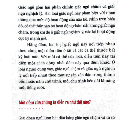 Ngủ Ngon Mỗi Đêm, Sống Khỏe Mỗi Ngày - Bí Mật Phía Sau Một Giấc Ngủ Chất Lượng