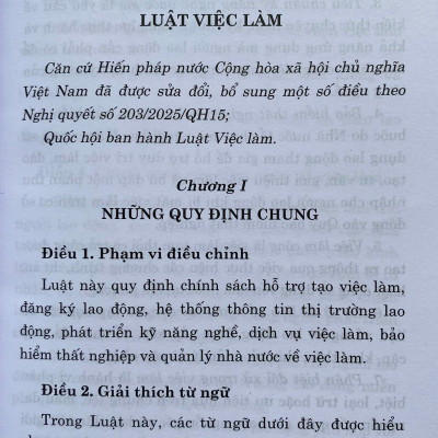 Sách Luật Việc Làm Năm 2025