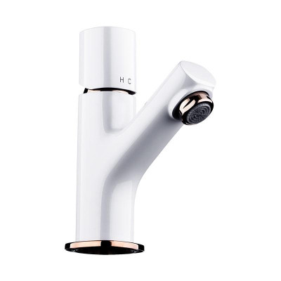 Vòi chậu cao cấp Bravat F1273308NP-RO