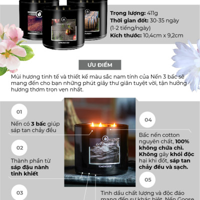 Nến ly 3 bấc sáp đậu nành For Men Goose Creek (411g) - Applewood