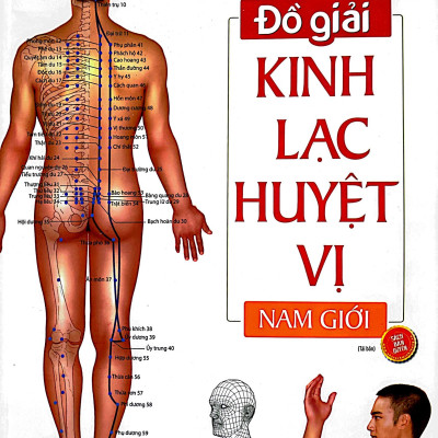 Sách Đồ giải Kinh Lạc Huyệt Vị Nam giới