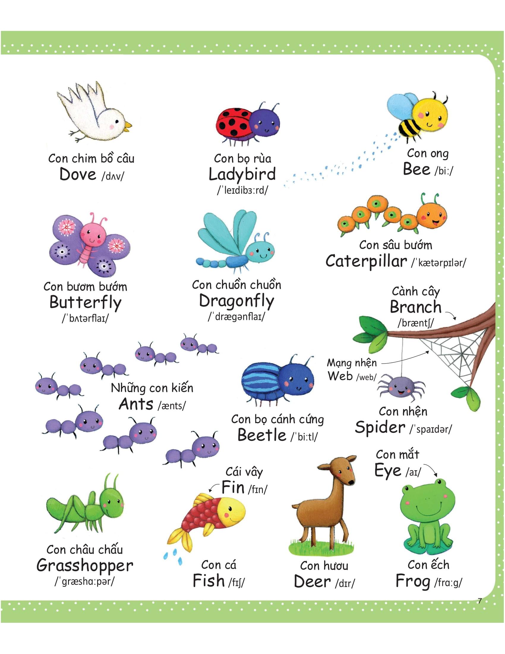 Cuốn Sách Từ Vựng Đầu Tiên Của Tôi - My First Word Book- Nông Trại - Farm