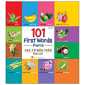 101 Từ Đầu Tiên: Thực Vật (Tái Bản 2021)