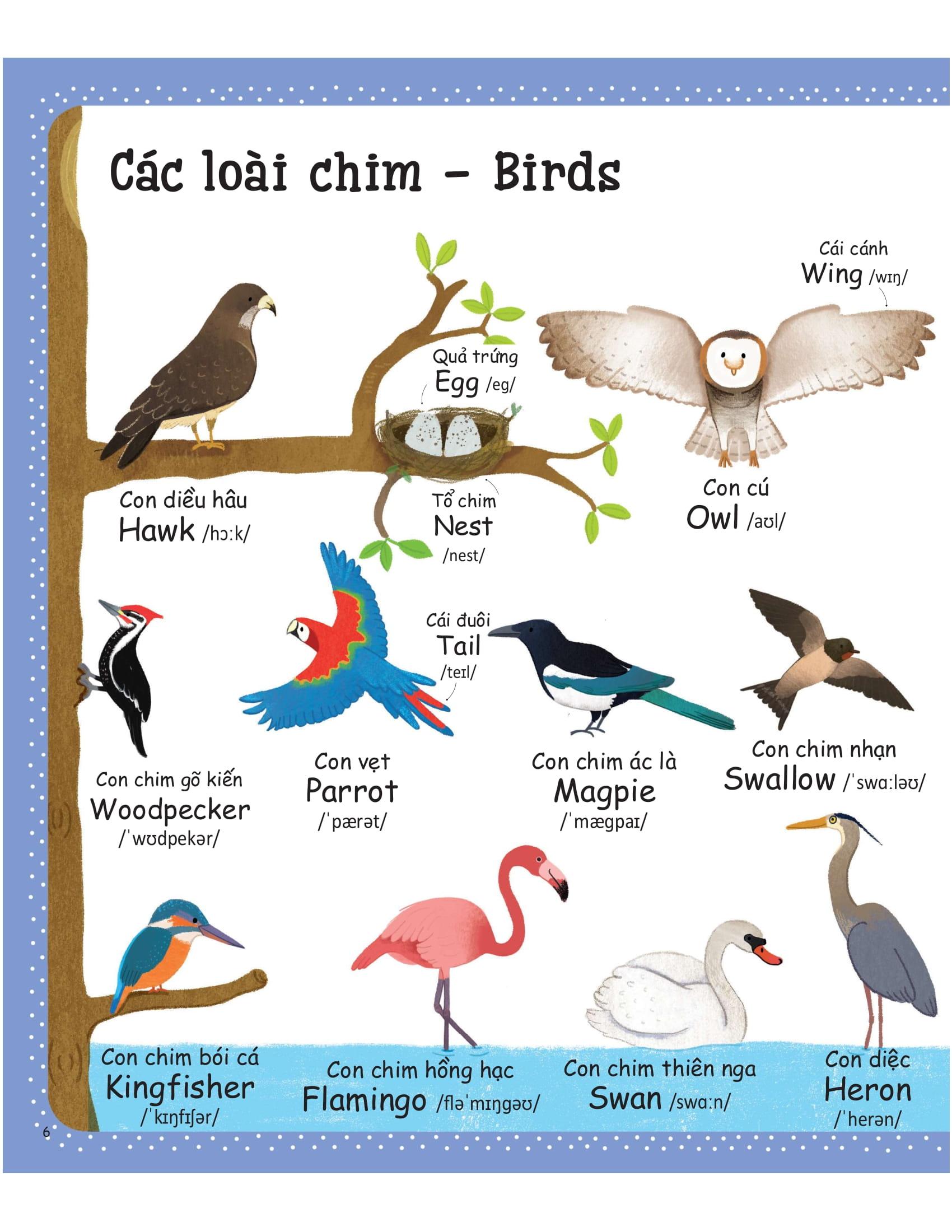 Cuốn Sách Từ Vựng Đầu Tiên Của Tôi - My First Word Book- Thiên Nhiên - Nature