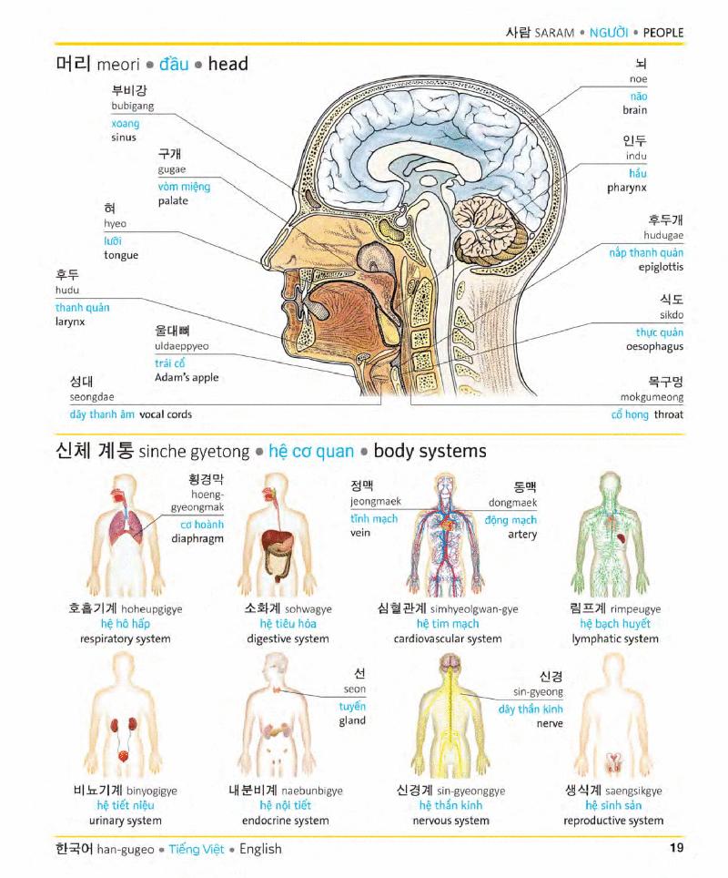 Korean Vietnamese English Trilingual Dictionary
