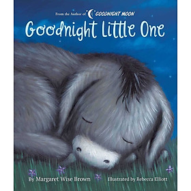 Truyện đọc Tiếng Anh - Goodnight Little One