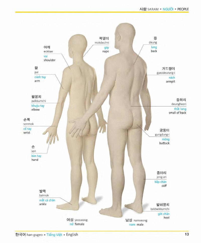 Korean Vietnamese English Trilingual Dictionary