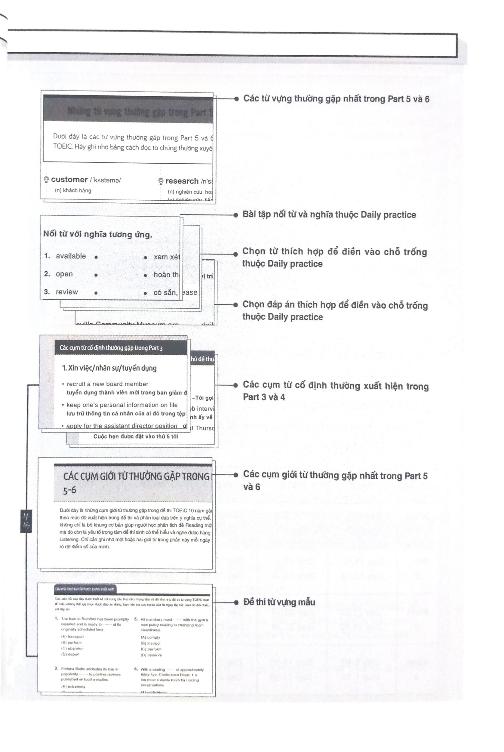 Toeic Vocab Basic - 1000 Từ Vựng Cơ Bản Kèm Bài Tập Dành Cho Người Mới Bắt Đầu (Tái Bản 2023)
