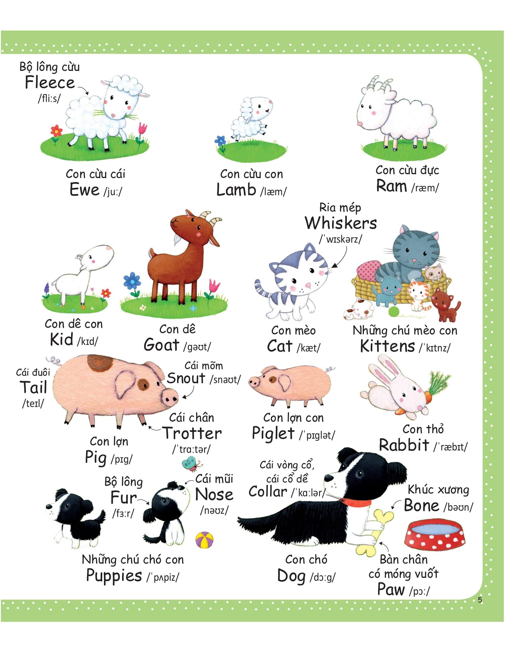 Cuốn Sách Từ Vựng Đầu Tiên Của Tôi - My First Word Book- Nông Trại - Farm