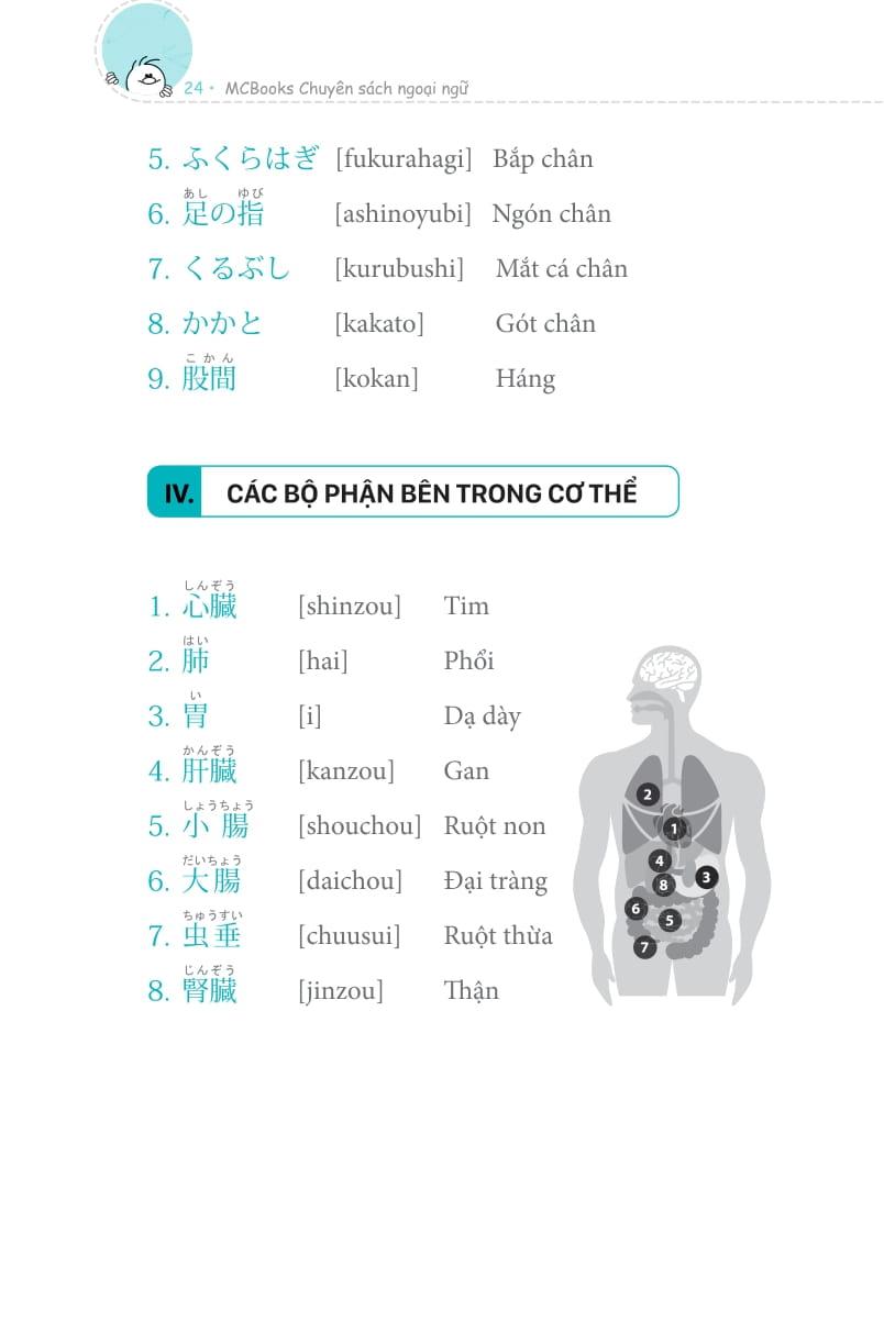 3000 Từ Vựng Tiếng Nhật Theo Chủ Đề