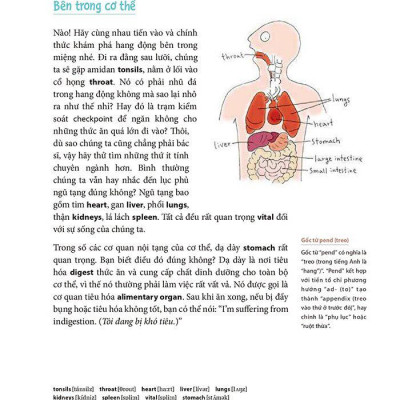 Tôi Muôn Giỏi Tiếng Anh Nhưng Tôi Không Muốn Chăm Chỉ