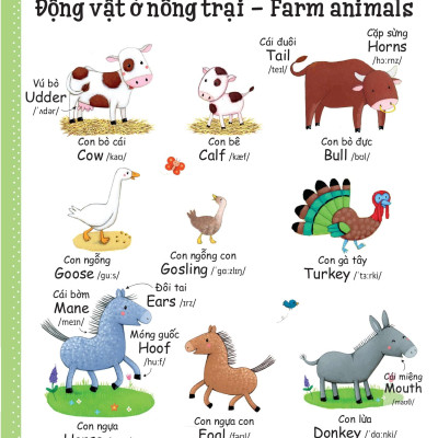 Cuốn Sách Từ Vựng Đầu Tiên Của Tôi - My First Word Book- Nông Trại - Farm