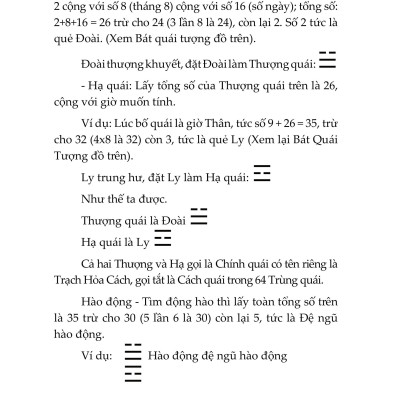 Sách - Mai Hoa Dịch Số - Nguyễn Tuấn Vũ