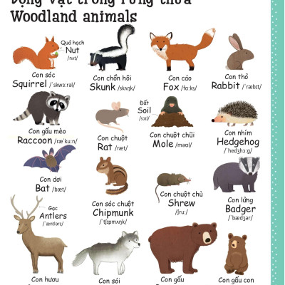 Cuốn Sách Từ Vựng Đầu Tiên Của Tôi - My First Word Book- Thiên Nhiên - Nature