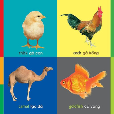 101 Từ Đầu Tiên: Động Vật (Tái Bản 2021)