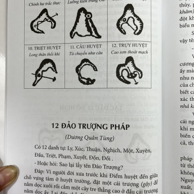 Quyết Địa Tinh Thư - Điểm Huyệt Bộ - Tập 2 - Võ Văn Ba