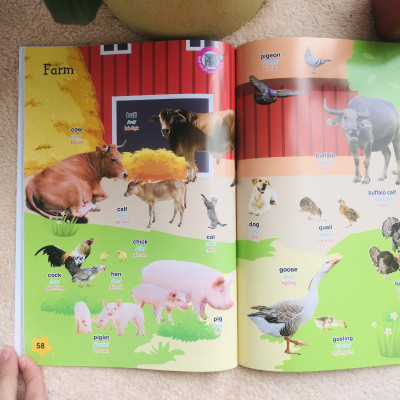 BÉ CHINH PHỤC TIẾNG ANH THEO CHỦ ĐỀ