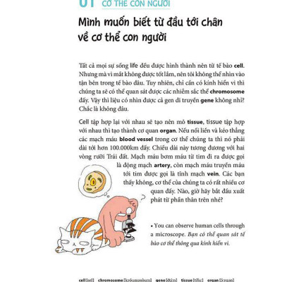 Tôi Muôn Giỏi Tiếng Anh Nhưng Tôi Không Muốn Chăm Chỉ