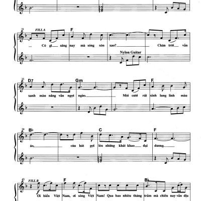 Thực Hành Đệm Organ - Tình Ca Quê Hương (Kèm CD)