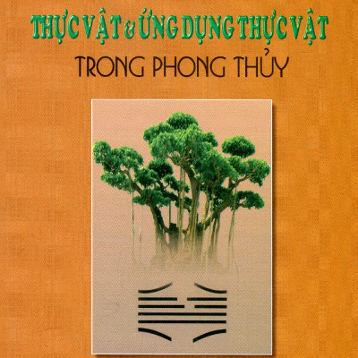Thực Vật Và Ứng Dụng Thực Vật Trong Phong Thủy